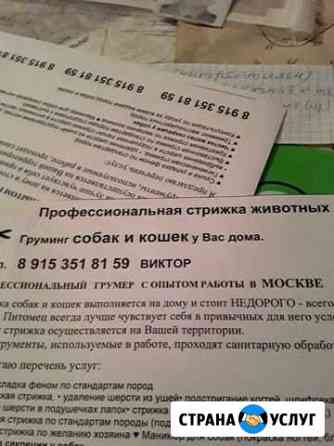 Стрижка собак и кошек Чита
