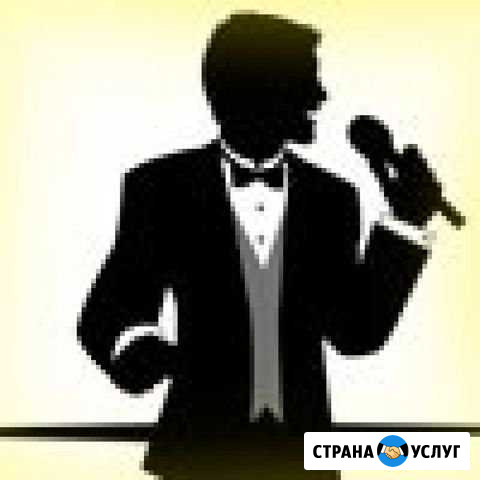 Ведущий + ди-джей на банкет Новосибирск - изображение 1