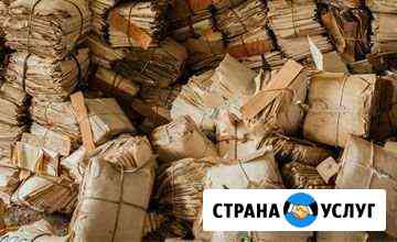 Макулатура Жуковка