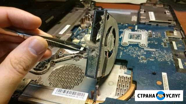 Установка на компьютер Windows. Ремонт. Выезд Оренбург - изображение 1