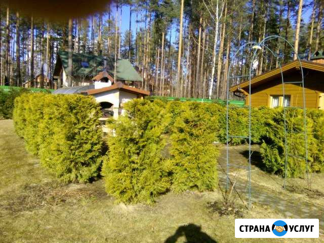 Уход за садом Луга - изображение 1