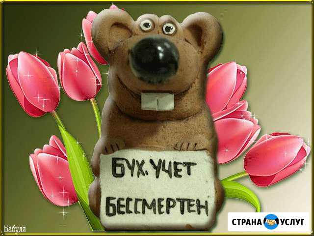 Сдача бухгалтерской и налоговой отчетности Волжский Волгоградской области - изображение 1