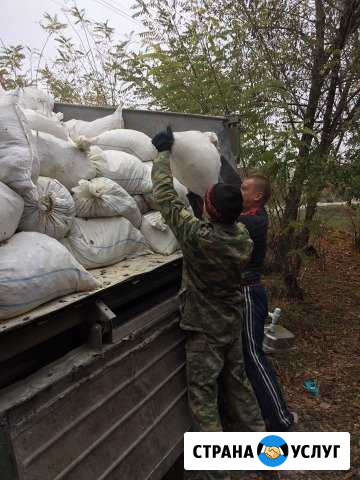 Вывоз мусора Новочеркасск - изображение 1