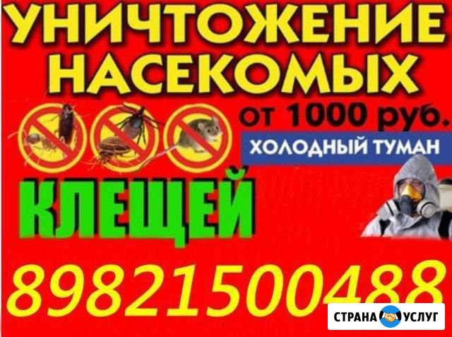 Дезинфекция Ханты-Мансийск - изображение 1