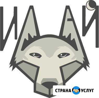 Дрессировка собак. Передержка собак и кошек Сыктывкар - изображение 1