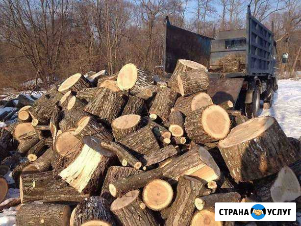 Доставка дров Кантемировка - изображение 1