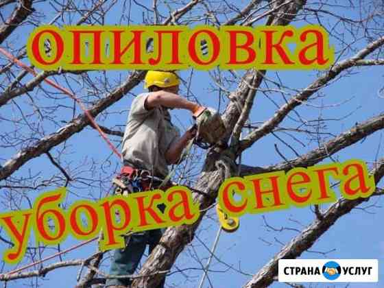 Уборка снега,Спил деревьев с вышкой и без Оренбург
