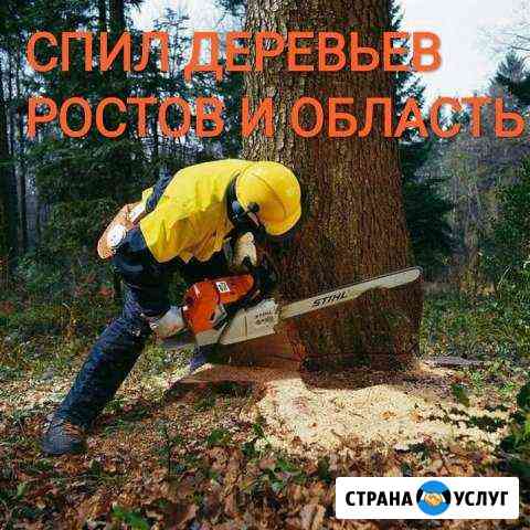 Спил деревьев/уборка участков/Вывоз Ростов-на-Дону