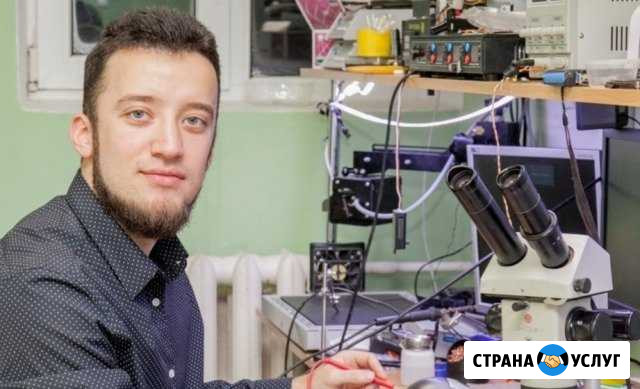 Ремонт компьютеров на дому. Выезд бесплатно Краснодар - изображение 1