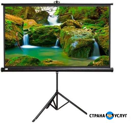 Сдаю в аренду экран для проектора Альметьевск - изображение 1