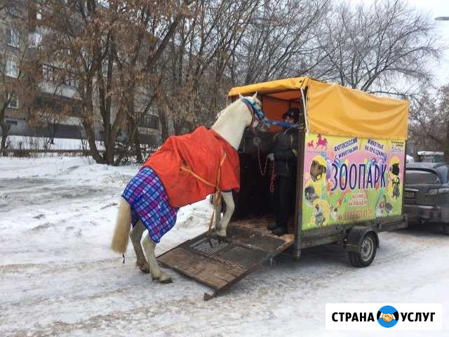 Конеперевозки, коневоз, скотовоз Владимир - изображение 1