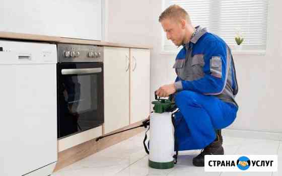 Дезинфекция насекомых, грызунов, плесени, запаха Белебей
