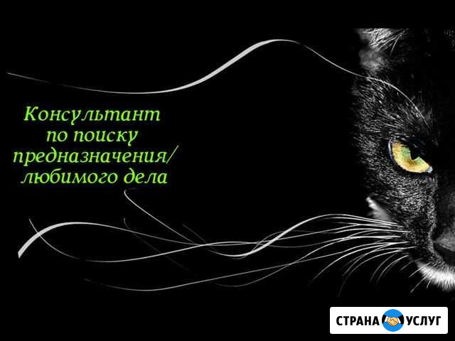 Поиск любимого дела / предназначения / талантов Хабаровск - изображение 1