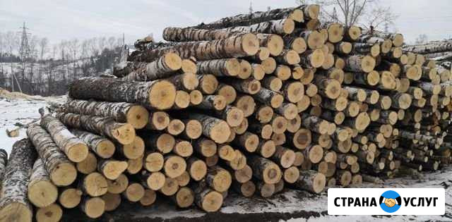 Лес кругляк Златоуст - изображение 1