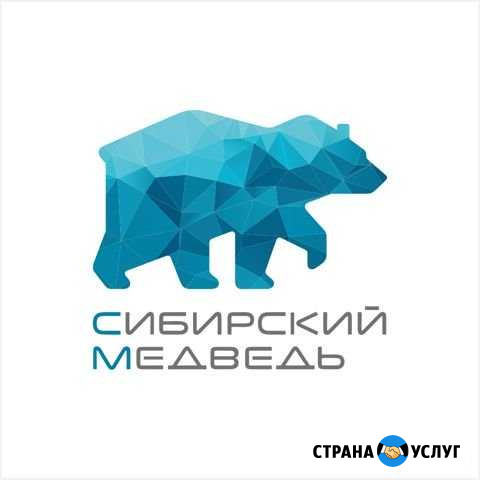 Проводной интернет в дом/котедж Кемерово - изображение 1