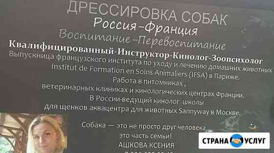 Кинолог Дрессировка Собак Зоопсихолог Москва