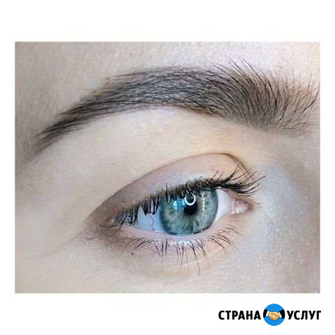 Брови. Макияж Севастополь - изображение 1