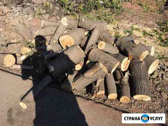 Дрова Оренбург