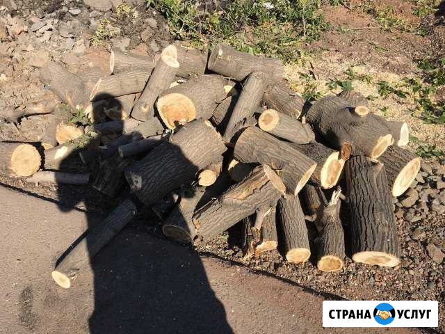 Дрова Оренбург - изображение 1