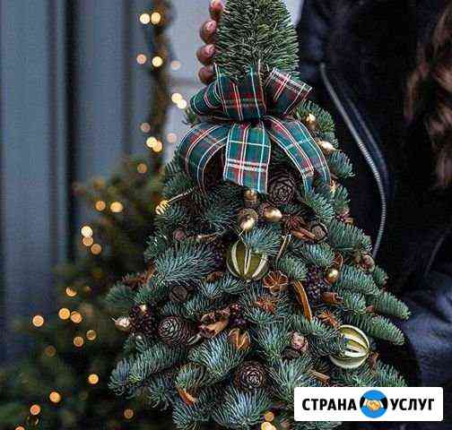Новогодние фотосессии Красногорск