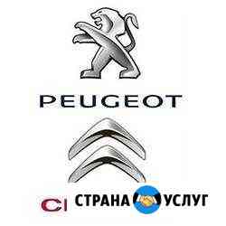 Диагностика Пежо и Ситроен Липецк