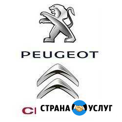 Диагностика Пежо и Ситроен Липецк - изображение 1
