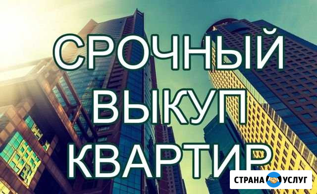 Срочный выкуп квартир Павловск - изображение 1