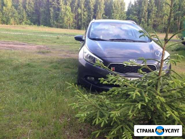 Отвезу, привезу, встречу(авто универсал) Кронштадт - изображение 1