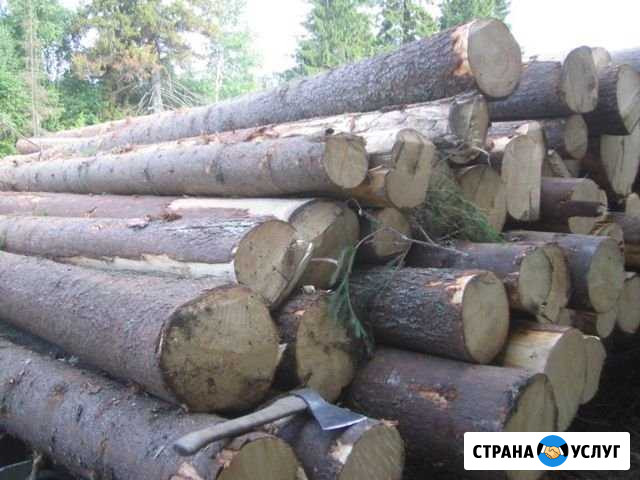 Круглый лес Горно-Алтайск - изображение 1