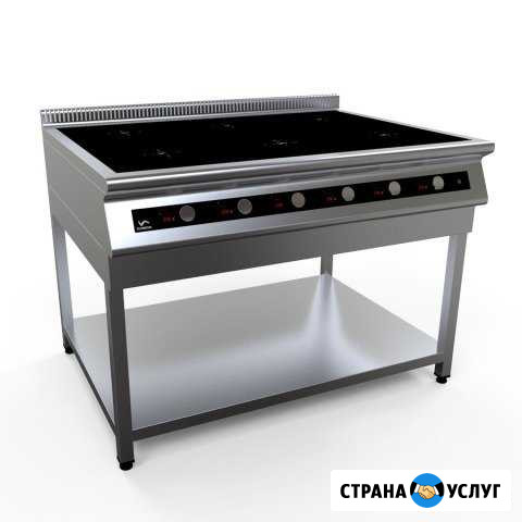 Ремонт индукционных плит Москва - изображение 1