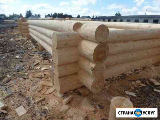 Срубы из зимнего леса Мордовии на заказ Саров