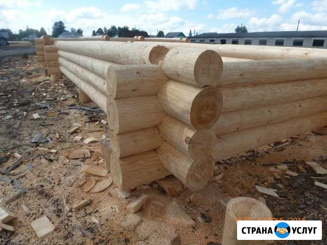 Срубы из зимнего леса Мордовии на заказ Саров - изображение 1