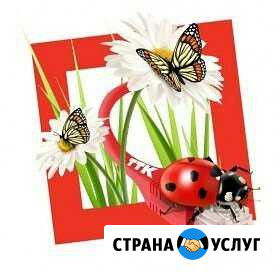 Интернет Чита - изображение 1