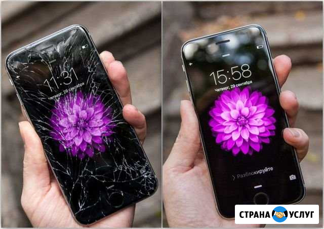 Ремонт iPhone на выезд Иркутск - изображение 1