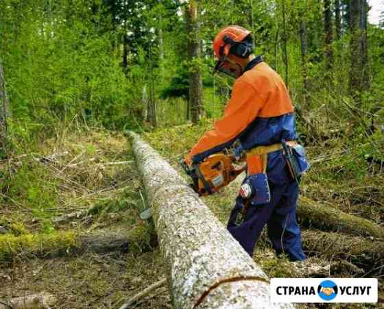 Спил деревьев Новокубанск