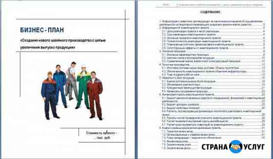 Разработка бизнес-плана для банка, инвестора, тэо Казань