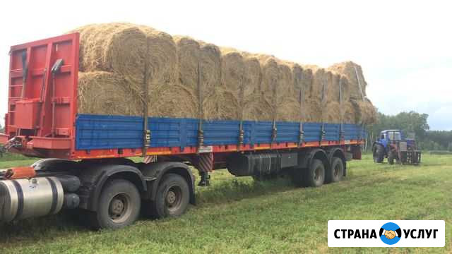 Доставим Сено по Кежемскому району Кодинск - изображение 1