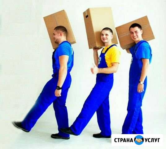 Грузчики в Твери Тверь - изображение 1