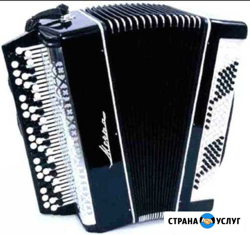 Аренда баяна Соликамск - изображение 1