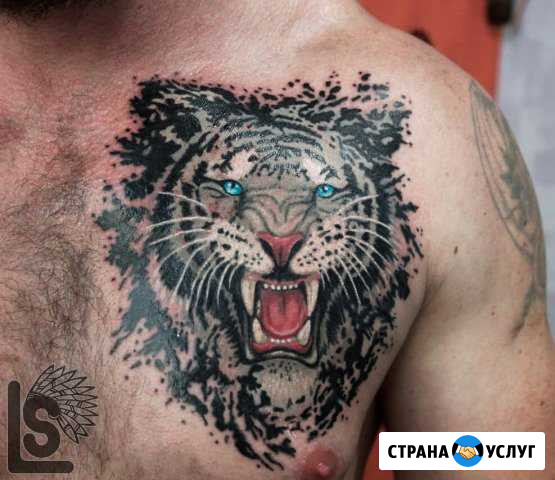 Тату на дому /Художественная татуировка/ Tattoo Астрахань - изображение 1
