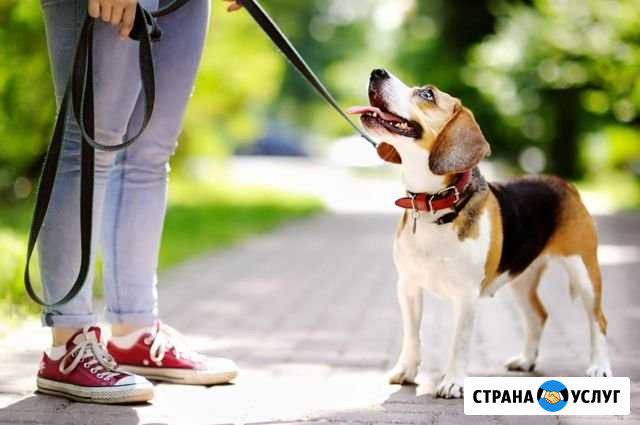 Предложение услуг Малоярославец - изображение 1