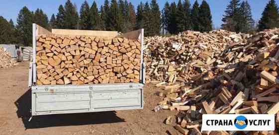 Дрова береза осина ольха дуб ель Истра