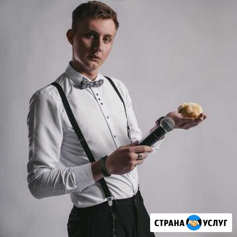 Твой Ведущий + DJ (комплект аппаратуры) Новосибирск - изображение 1