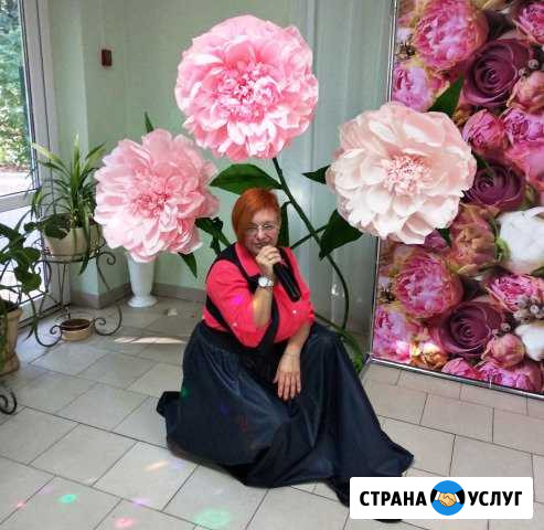 Ведущий праздников. Тамада+вокал+музыка Каменск-Шахтинский - изображение 1