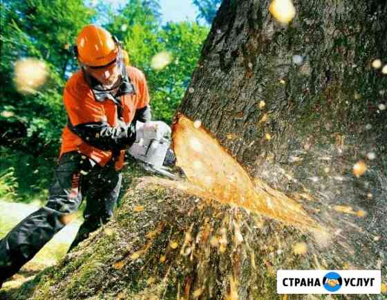 Спил деревьев, расчистка участков,дач Краснодар