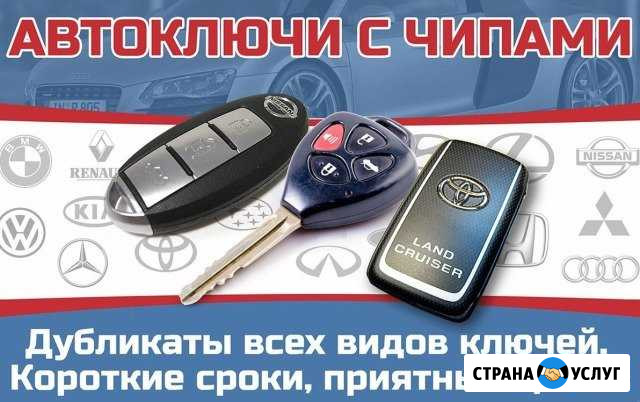 Изготовление чип-ключей на авто Волгоград - изображение 1