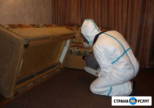 Уничтожение клопов и тараканов Хабаровск - изображение 1