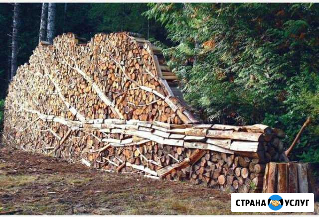 Дрова Мичуринск - изображение 1