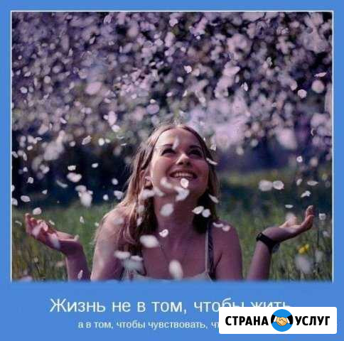 Стихи, тосты, сценарии на заказ Саяногорск - изображение 1