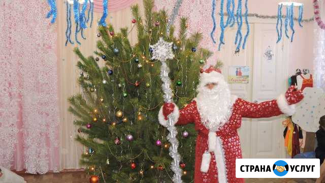 Дед Мороз и Снегурочка Новочеркасск - изображение 1
